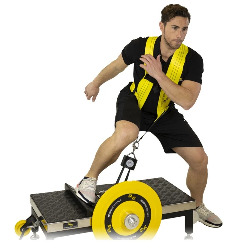 Acceleration Squat NeuroExcellence BASIC 2 Acceleration Squat NeuroExcellence BASIC – Image 2