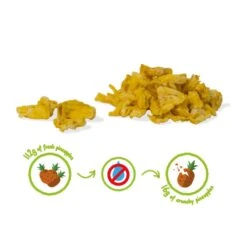 ANANAS CRUNCHY FRUIT BIO - 100% Ananas Biologiques Lyophilisées -Cress Sport Boutique ananas crunchy fruit bio 100 ananas biologiques lyophilisees 2