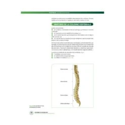 Anatomie Du Footballeur - 4TRAINER Editions 8 Anatomie Du Footballeur - 4TRAINER Editions -Cress Sport Boutique anatomie du footballeur 4trainer 2