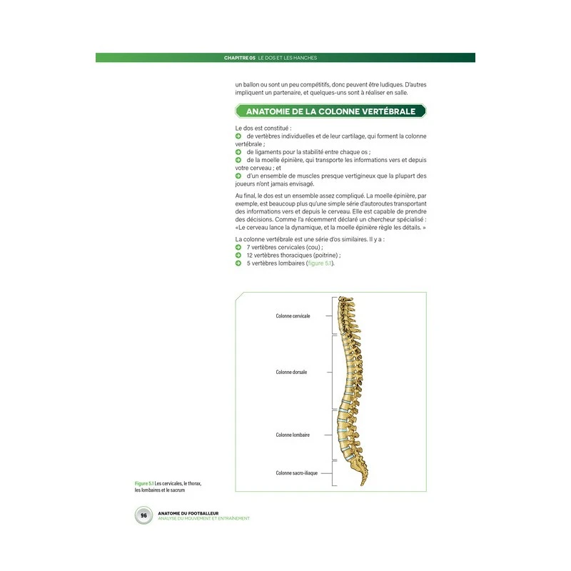 Anatomie Du Footballeur - 4TRAINER Editions 3 Anatomie Du Footballeur - 4TRAINER Editions – Image 3