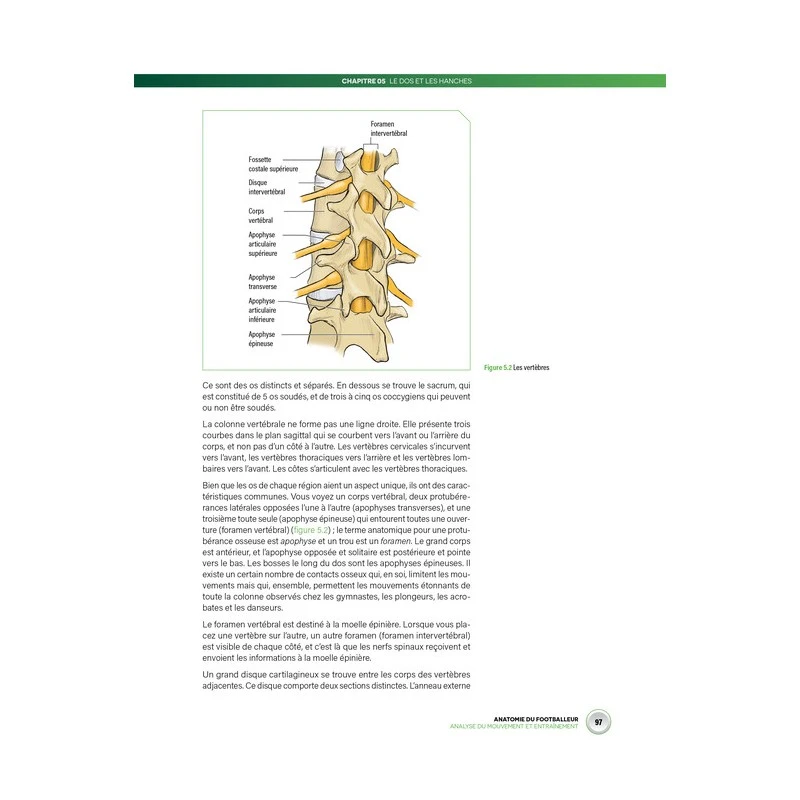 Anatomie Du Footballeur - 4TRAINER Editions 4 Anatomie Du Footballeur - 4TRAINER Editions – Image 4