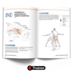 ANATOMIE ET ENTRAÎNEMENT FONCTIONNEL - 4Trainer Editions -Cress Sport Boutique anatomie et entrainement fonctionnel 4trainer editions 3