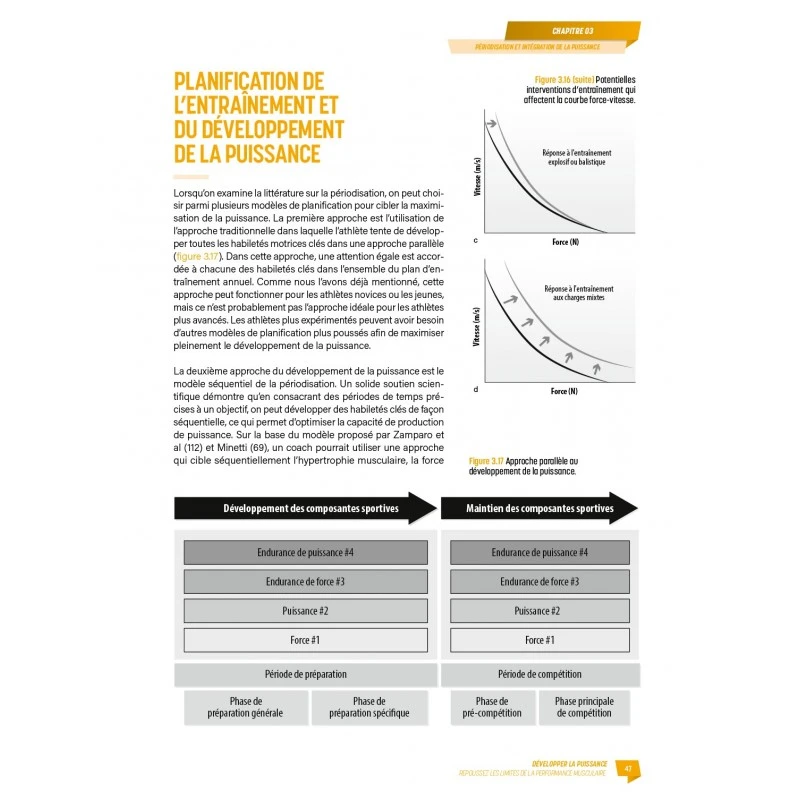 Développer La Puissance - 4TRAINER Editions 3 Développer La Puissance - 4TRAINER Editions – Image 3