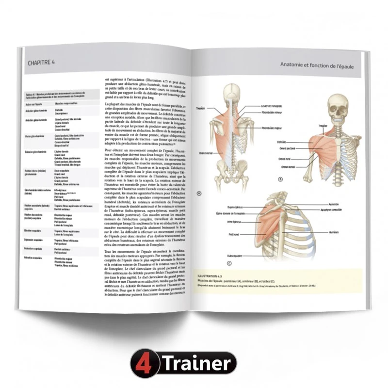 L'Épaule - 4TRAINER EDITIONS 6 L'Épaule - 4TRAINER EDITIONS – Image 6