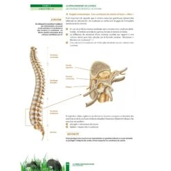 La Prépa Physique Rugby - Le Développement De La Force - 4TRAINER Editions -Cress Sport Boutique la prepa physique rugby le developpement de la force 4