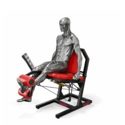 KEISER A300 Leg Extension PRO - Machine De Musculation Quadriceps à Résistance Pneumatique 13 KEISER A300 Leg Extension PRO - Machine De Musculation Quadriceps à Résistance Pneumatique -Cress Sport Boutique machine musculation keiser a300 extension leg 6