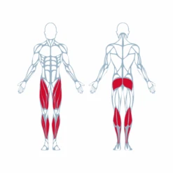 KEISER A400 Leg Press - Machine De Musculation Quadriceps à Résistance Pneumatique -Cress Sport Boutique machine musculation keiser a400 leg press 2