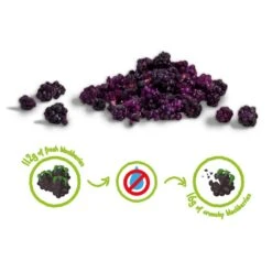 MÛRE CRUNCHY FRUIT BIO - 100% Mûres Biologiques Lyophilisées -Cress Sport Boutique mure crunchy fruit bio 100 mures biologiques lyophilisees 2