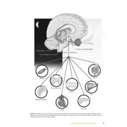 Programmation De L'entraînement -Cress Sport Boutique programmation de l entrainement 1 2