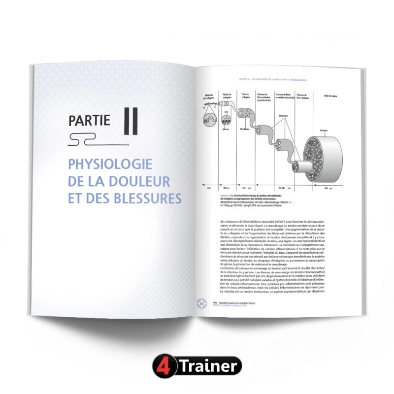 Troubles Musculo-Squelettiques - 4TRAINER EDITIONS 9 Troubles Musculo-Squelettiques - 4TRAINER EDITIONS – Image 9