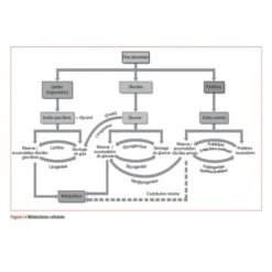 WORKOUT - Pour Un Entraînement Plus Intelligent - 4TRAINER Editions -Cress Sport Boutique workout pour un entrainement plus intelligent 2